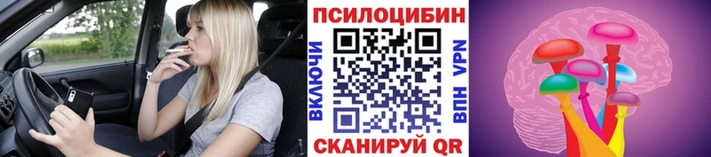 Псилоцибиновые грибы Cubensis  нарко площадка формула  Шлиссельбург 